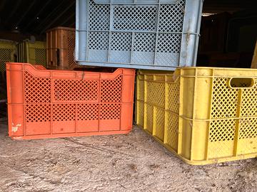 Casse per olive o uva