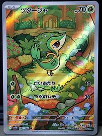Carte Pokemon 