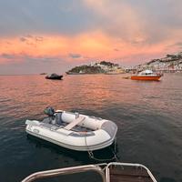 Tender zodiac cadet 270 rollup