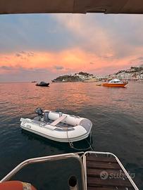 Tender zodiac cadet 270 rollup