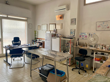 Ambulatorio Veterinario avviato - Quartu SE (CA)