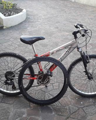bici mtb