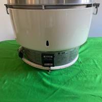 SUSHI BOLLITORE GAS PROFESSIONALE RINNAI 10 litri