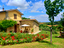 Immagine 4