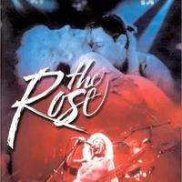 dvd the rose