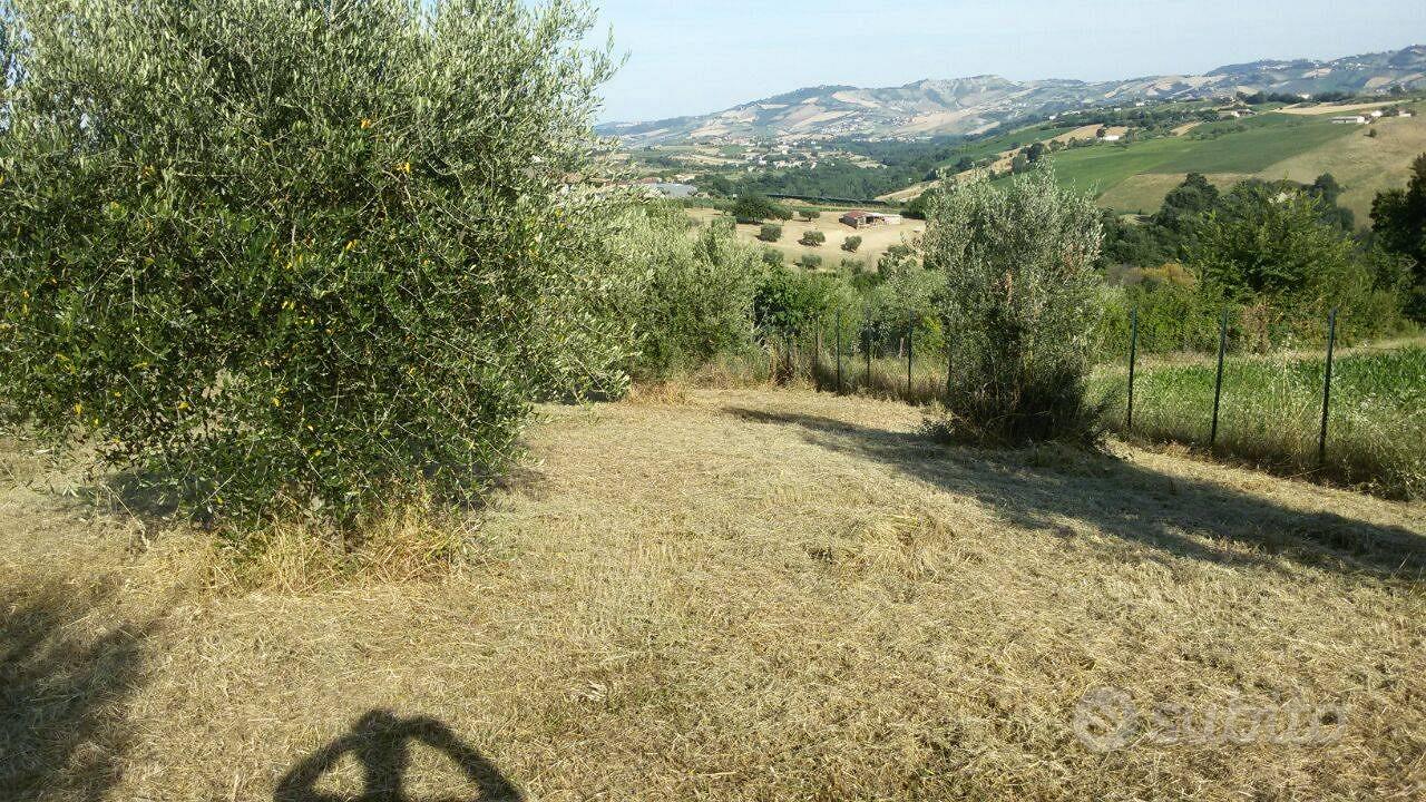 Rustico - Campli - Altro