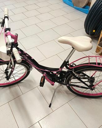 Bicicletta