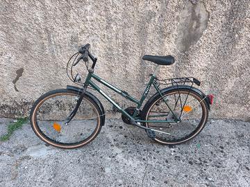 bici Mountain bike 