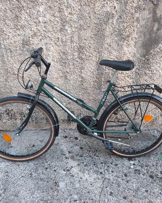 bici Mountain bike 