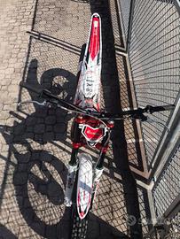 Gas gas 300 txt pro racing 2017