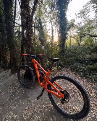 YETI SB150 Tg L