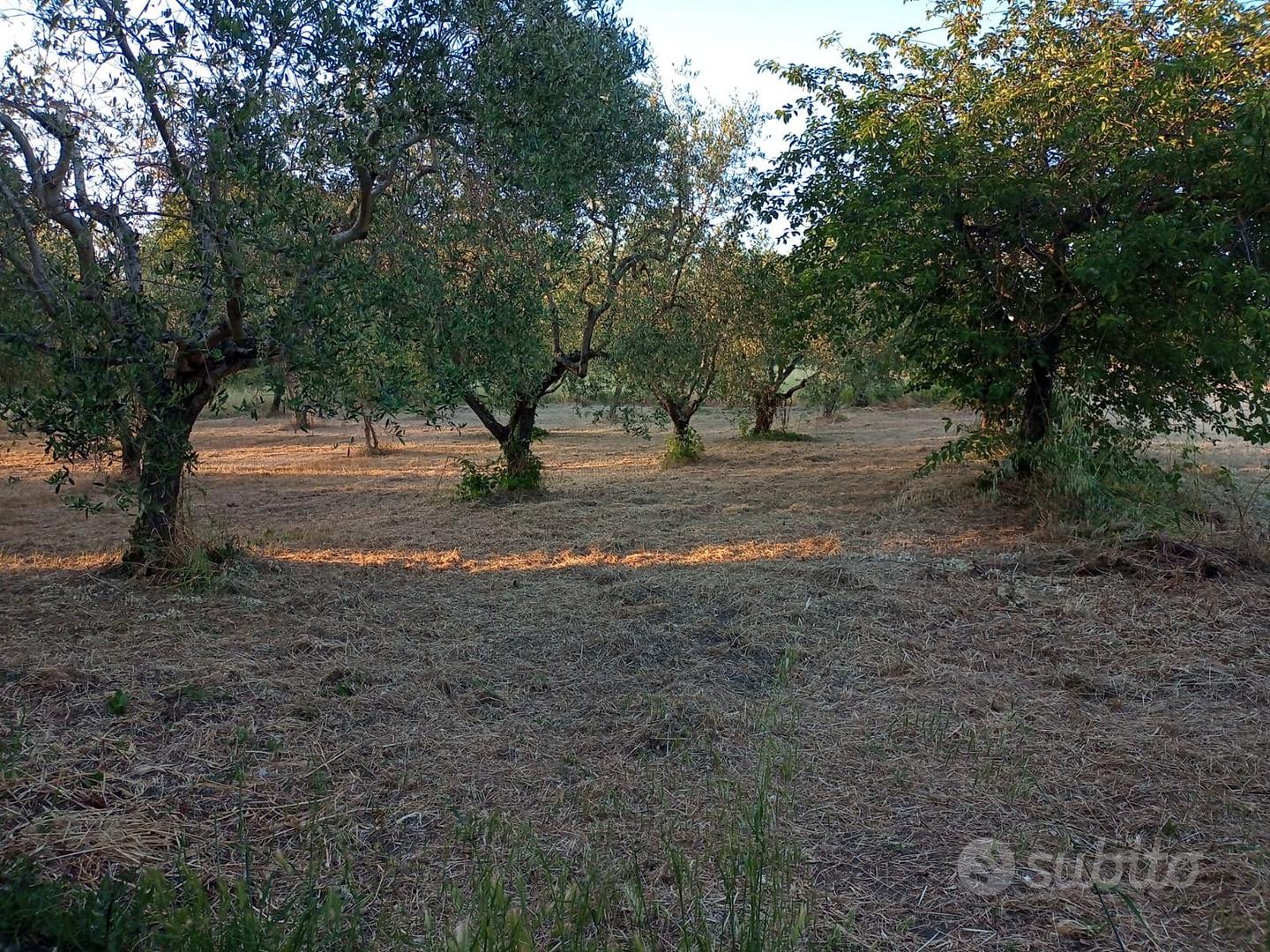 Terreno Benevento Via Mura della Caccia mq 850 - Vista 3