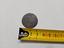 Immagine 6