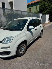 Fiat panda 1.269 cv- anno 2016 - €2000