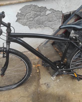 bici mountain bike ruote grosse bicicletta