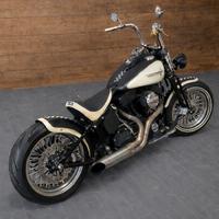 Harley Davidson FLSTSB Crossbones