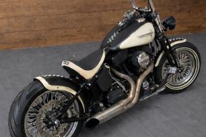 Harley Davidson FLSTSB Crossbones