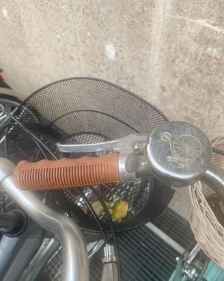 Bici urbana turchese – comoda, elegante e pro