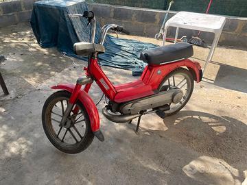 Piaggio boxer