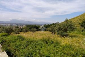 TER. AGRICOLO A PIEDIMONTE SAN GERMANO