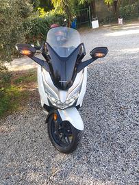 Honda Forza 300 - 2019