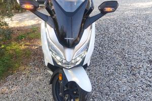 Honda Forza 300 - 2019