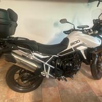 Triumph Tiger 900 - 2024