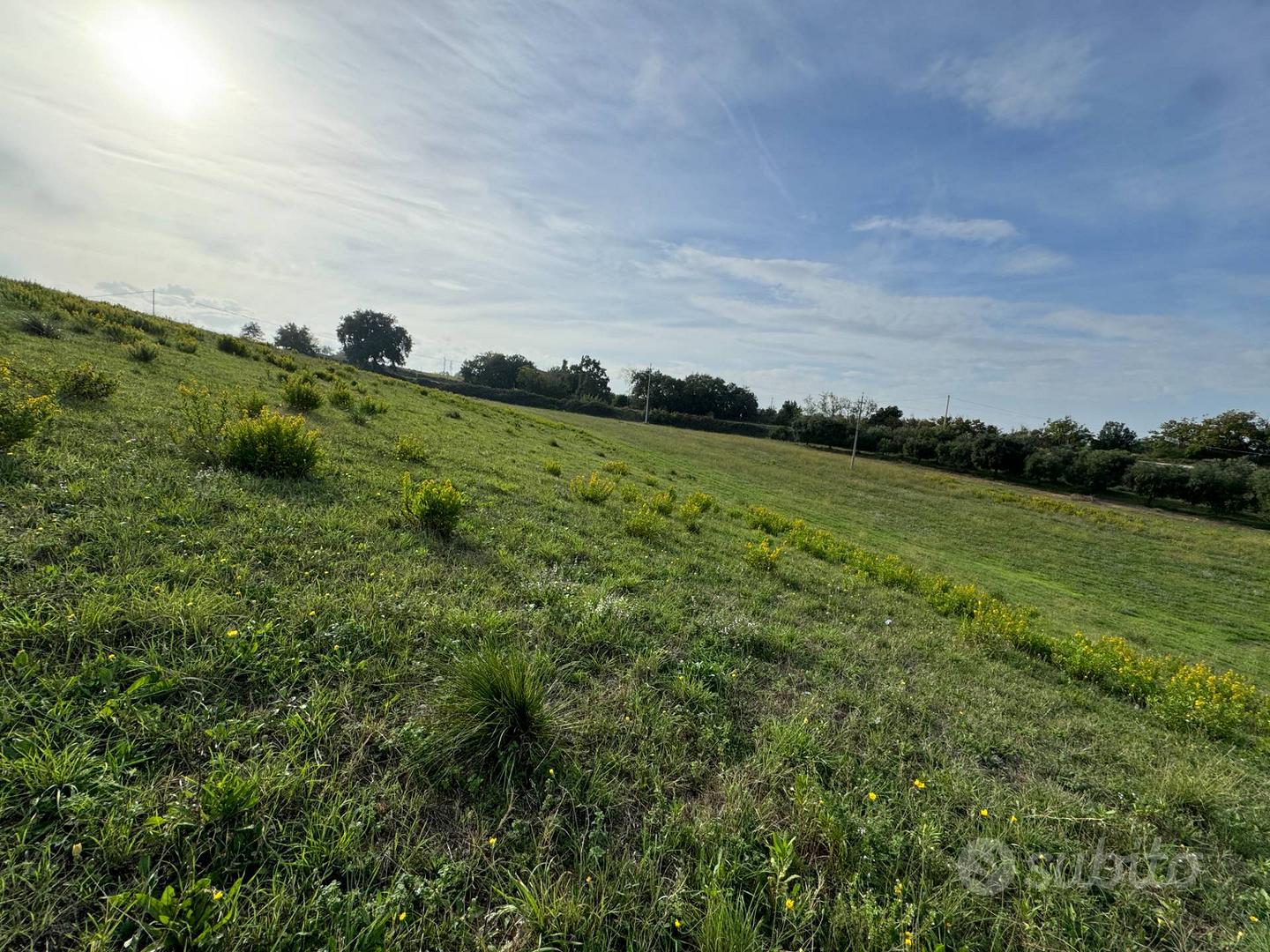 Terreno - Lapedona - Vista 3