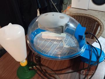 incubatrice