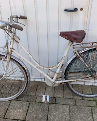 Bici donna ciclo piave