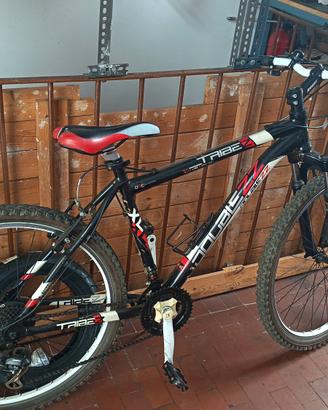 bici ragazzo