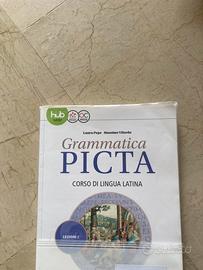 Grammatica Picta