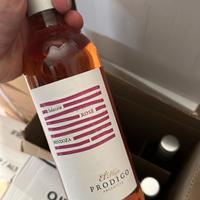 Vino Rosè Malbec el hijo prodico