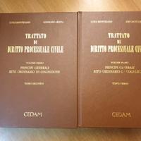 TRATTATO DI DIRITTO PROCESSUALE CIVILE -CON CD-ROM
