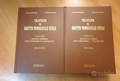 TRATTATO DI DIRITTO PROCESSUALE CIVILE -CON CD-ROM