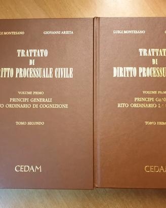TRATTATO DI DIRITTO PROCESSUALE CIVILE -CON CD-ROM