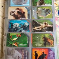 Collezione schede telefoniche