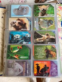 Collezione schede telefoniche