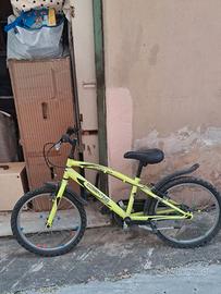 Bicicletta bambino 20