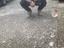 Immagine 5