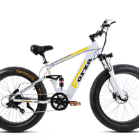 BICI ELETTRICA MOUNTAIN BIKE FORZA V2.4 250W 36V