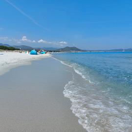 Trilocale in Sardegna