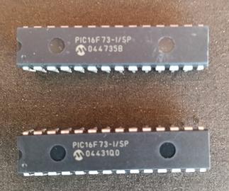 microcontrollori PIC