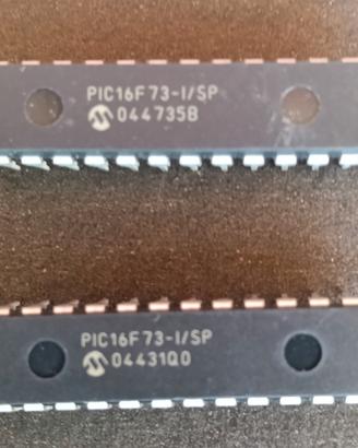 microcontrollori PIC