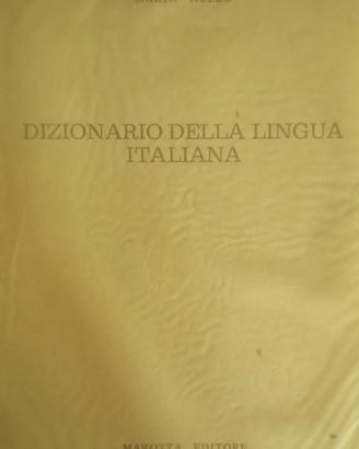 Dizionario di Italiano illustrato vintage anni 80