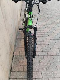 mountain bike elettrica 