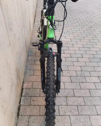 mountain bike elettrica 