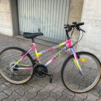 Mountain bike Monviso Esperia 840