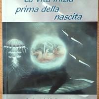 La vita prima della nascita 