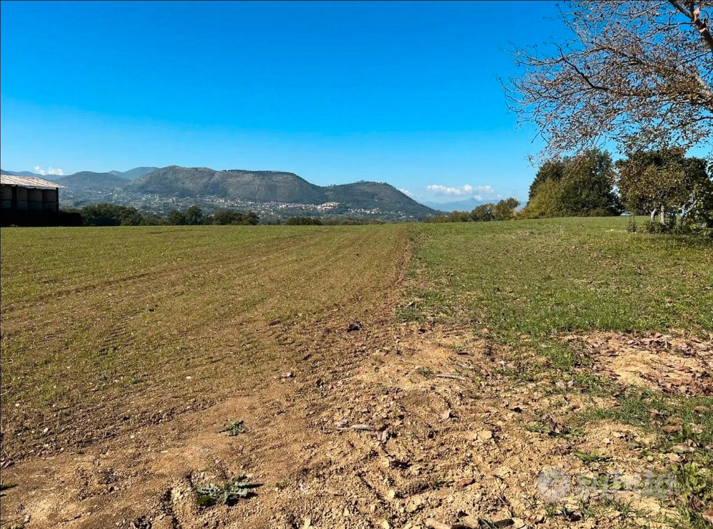Terreno tre ettari - Vista 2